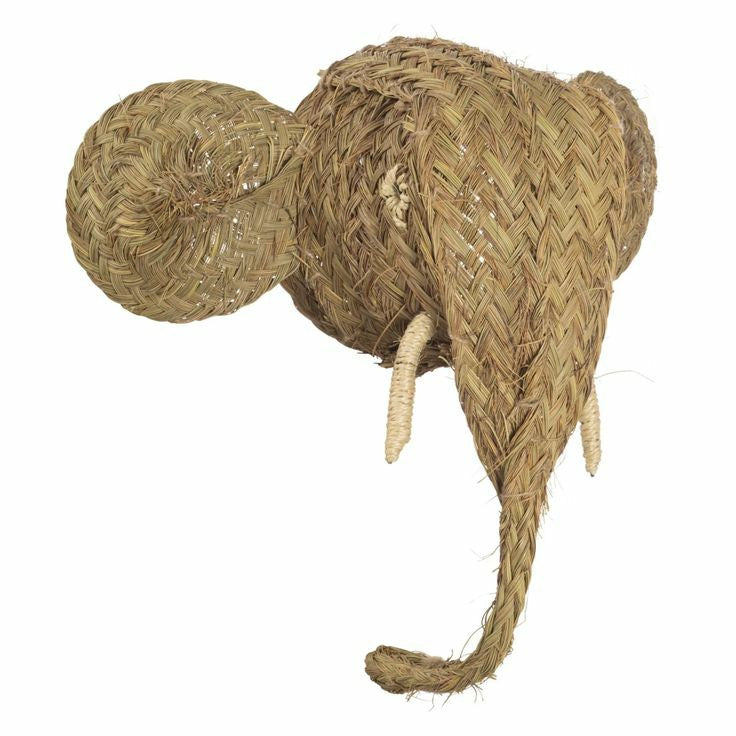 Elefante esparto